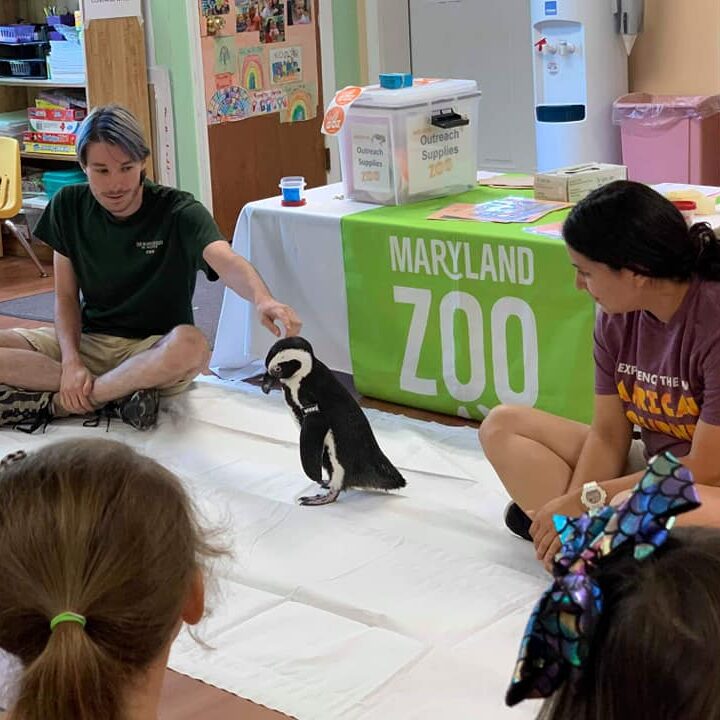 MD ZOO Infant Daycare program