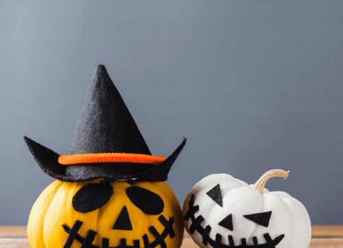 Halloween pumpkin patch